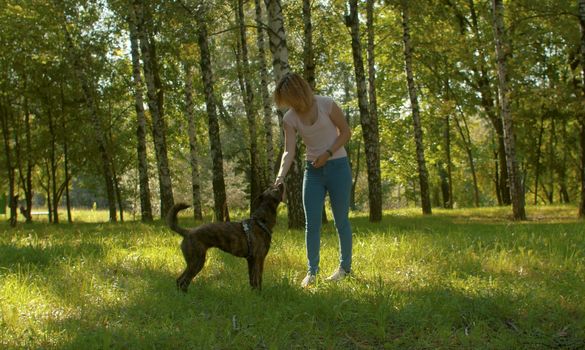 Young beautiful woman stroking her clever dog in the park