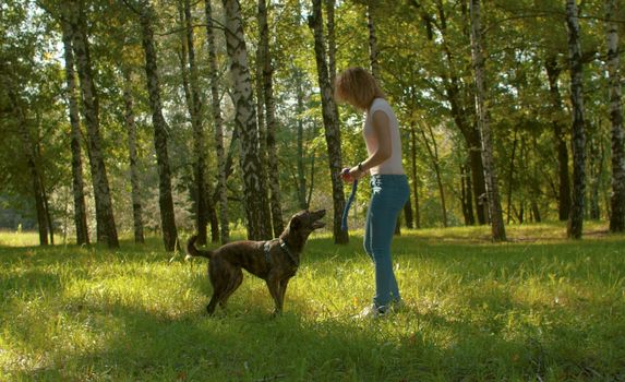 Woman holding the dogs toy, dog waiting. Young beautiful owner playing with her dog in the park