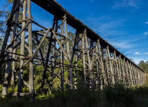 view from the Noojee Trestle bridge, Gippsland, Victoria