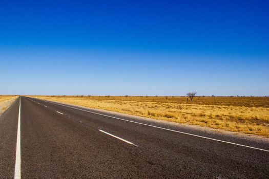 gerade Straße durch die Wüste von Australien auf dem Flinders Highway, Queensland