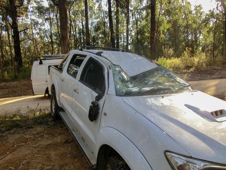 car crash accident in a forrest, damaged automobiles after collision in forrest, australia