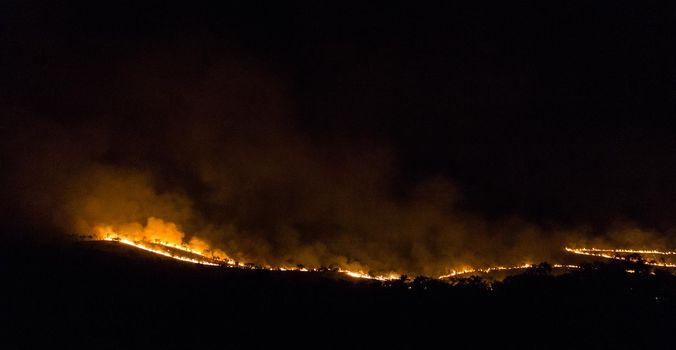 australian bushfire of a forrest at Night, nothern territory