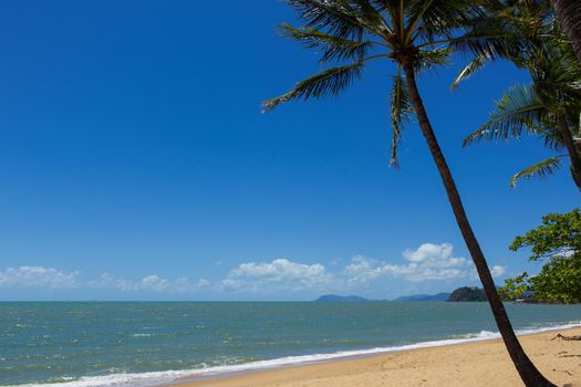 Ein schöner tropischer Strand mit Palmen in Nordaustralien, Clifton Beach, Queensland