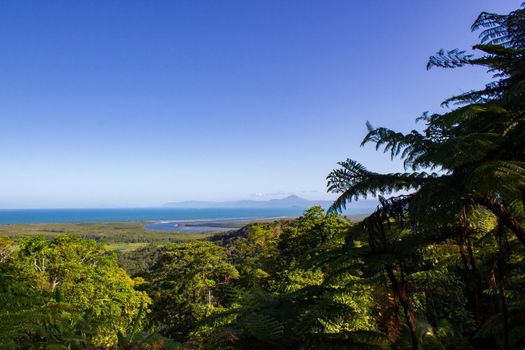 view over Daintree National Park during sunset, Cape Tribulation