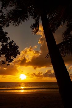 Sonnenaufgang bei Cape Tribulation in der Region Daintree im hohen Norden von Queensland. Cape Tribulation ist eine abgelegene Landzunge und ein Ziel für Ökotourismus im Nordosten von Queensland.