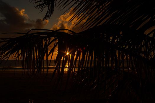 Sonnenaufgang bei Cape Tribulation in der Region Daintree im hohen Norden von Queensland. Cape Tribulation ist eine abgelegene Landzunge und ein Ziel für Ökotourismus im Nordosten von Queensland.