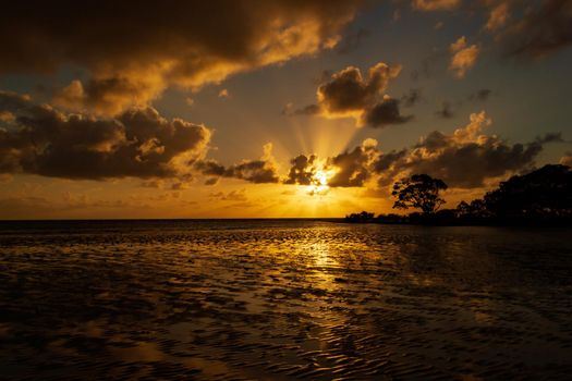 Sonnenaufgang bei Cape Tribulation in der Region Daintree im hohen Norden von Queensland. Cape Tribulation ist eine abgelegene Landzunge und ein Ziel für Ökotourismus im Nordosten von Queensland.