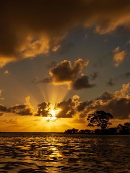 Sonnenaufgang bei Cape Tribulation in der Region Daintree im hohen Norden von Queensland. Cape Tribulation ist eine abgelegene Landzunge und ein Ziel für Ökotourismus im Nordosten von Queensland.