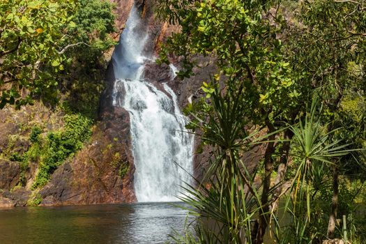 beautiful wangi waterfalls in litchfield national park