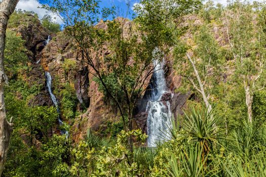 beautiful wangi waterfalls in litchfield national park