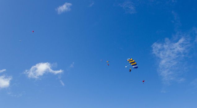 Silhouette of sky divers flies back to the ground after a tandem skydive, byron bay, queensland, australia.