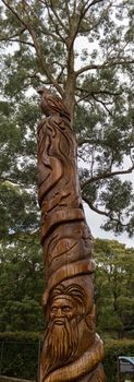 Carving on a tree at SkyHigh in Dandedong, Australia