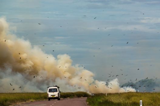 Bushfire in Kakadu National Park, Northern Territory, Australia