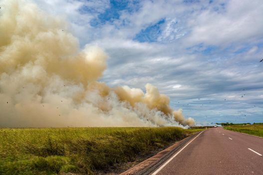 Bushfire in Kakadu National Park, Northern Territory, Australia