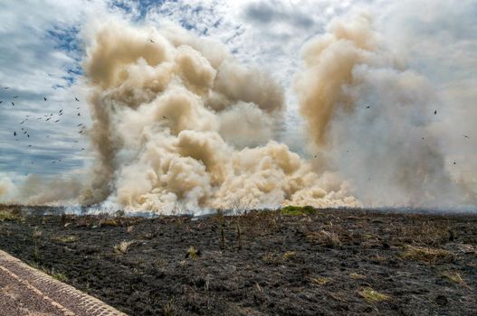 Bushfire in Kakadu National Park, Northern Territory, Australia