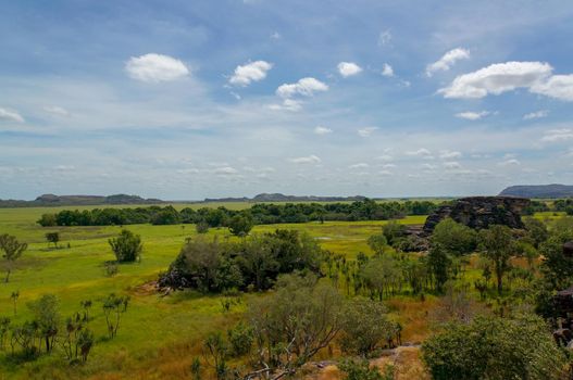 panorama from the Nadab Lookout in ubirr, kakadu national park. It looks like an african savannah - australia