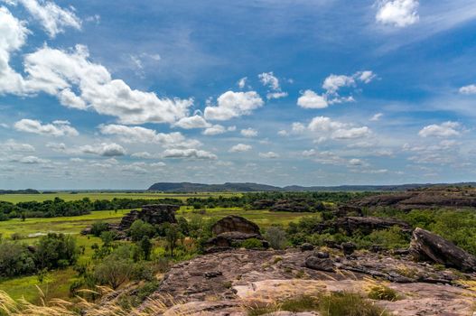 panorama from the Nadab Lookout in ubirr, kakadu national park. It looks like an african savannah - australia