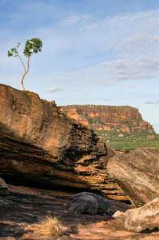 panorama from the Nadab Lookout in ubirr, kakadu national park. It looks like an african savannah - australia