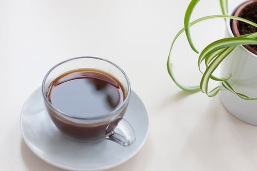 Fragrant black coffee stands on a light table. Breakfast with coffee. Make coffee in a turk. Space for the text. Aromatic coffee.