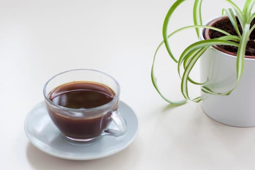 Fragrant black coffee stands on a light table. Breakfast with coffee. Make coffee in a turk. Space for the text. Aromatic coffee.