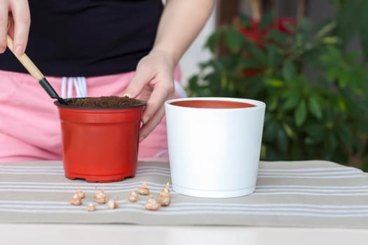 The girl plants flower bulbs in the ground in a pot. Plant flowers. Grows at home. Potted flowers. 