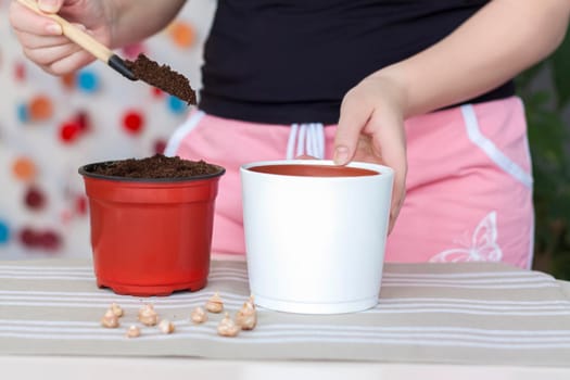 The girl plants flower bulbs in the ground in a pot. Plant flowers. Grows at home. Potted flowers.