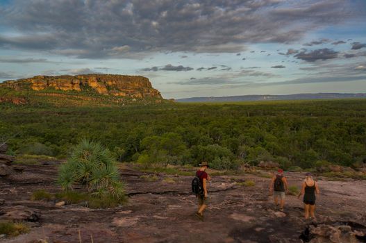 panorama from the Nadab Lookout in ubirr, kakadu national park. It looks like an african savannah - australia
