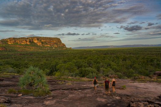 panorama from the Nadab Lookout in ubirr, kakadu national park. It looks like an african savannah - australia