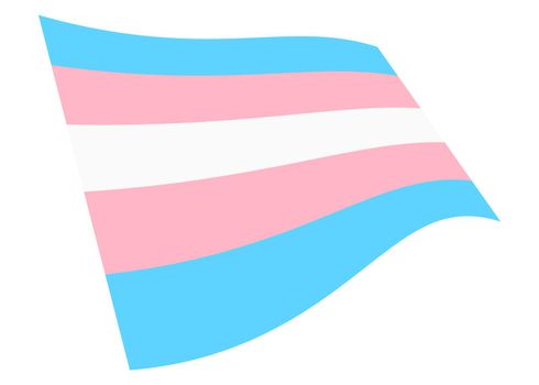 A Transgender waving flag graphic isolated on white with clipping path 3d illustration