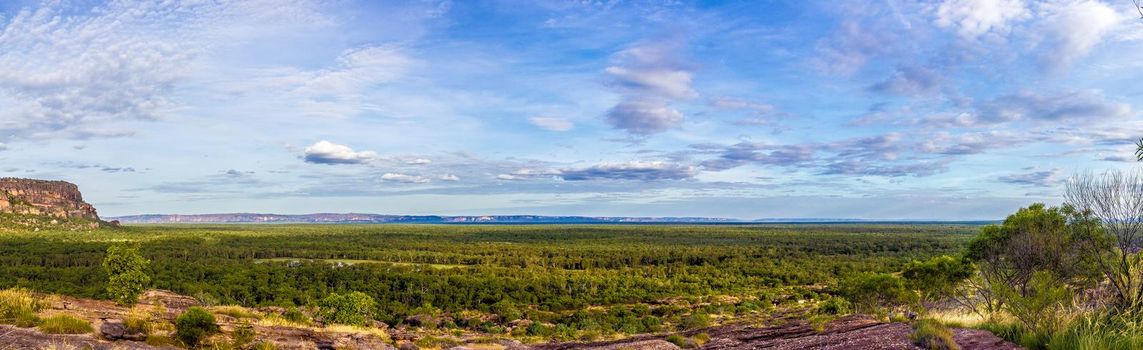 panorama from the Nadab Lookout in ubirr, kakadu national park. It looks like an african savannah - australia