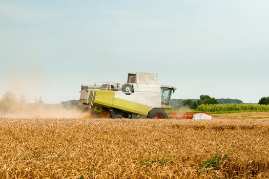 Combine harvesters with grain header, wide chaff spreader reaping cereal ears. Rotary straw walker cut and threshes ripe wheat grain. Gathering crop by agricultural machinery on field on summer season