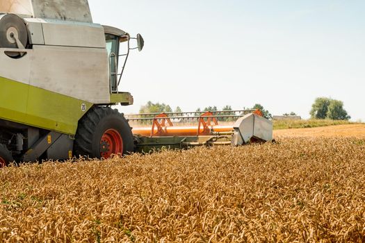 Combine harvesters with grain header, wide chaff spreader reaping cereal ears. Rotary straw walker cut and threshes ripe wheat grain. Gathering crop by agricultural machinery on field on summer season