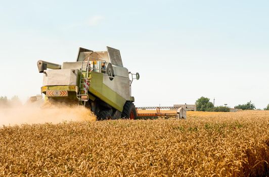 Combine harvesters with grain header, wide chaff spreader reaping cereal ears. Rotary straw walker cut and threshes ripe wheat grain. Gathering crop by agricultural machinery on field on summer season