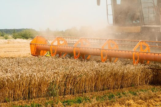Platform grain header with thresher reel, cutter bar reaping cereal ears. Rotary straw walker combine harvester cuts and threshes ripe wheat grain. Gathering crop by agricultural machinery on field