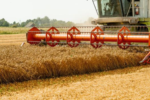 Platform grain header with thresher reel, cutter bar reaping cereal ears. Rotary straw walker combine harvester cuts and threshes ripe wheat grain. Gathering crop by agricultural machinery on field