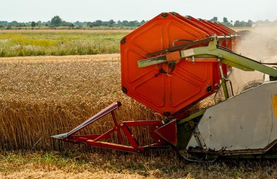 Platform grain header with thresher reel, cutter bar reaping cereal ears. Rotary straw walker combine harvester cuts and threshes ripe wheat grain. Gathering crop by agricultural machinery on field