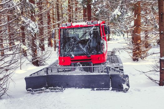 snowmobile to adjust the tracks for cross-country skiers in the winter forest.