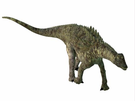Ampelosaurus was an armored sauropod herbivorous dinosaur that lived in Europe during the Cretaceous Period.