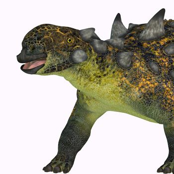 The ankylosaurid Euoplocephalus was a herbivorous armored dinosaur that lived in Canada during the Cretaceous Period.