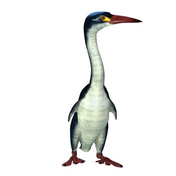 Hesperornis is an extinct cormorant-like bird that lived in North America and Russia during the Cretaceous Period.