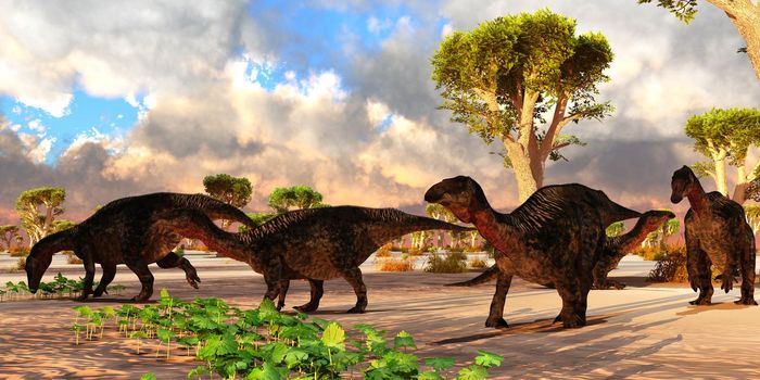 A cloudy day finds a Lurdusaurus dinosaur herd resting and eating vegetation in Africa during the Cretaceous Period.