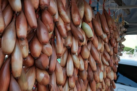 Bunches of orange onions hanging on the rail for sale in food market.