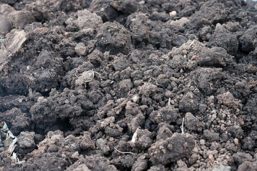 Closeup of a plowed field, fertile, black soil