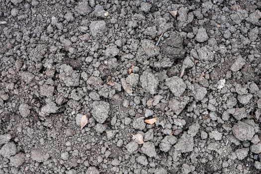 Closeup of a plowed field, fertile, black soil