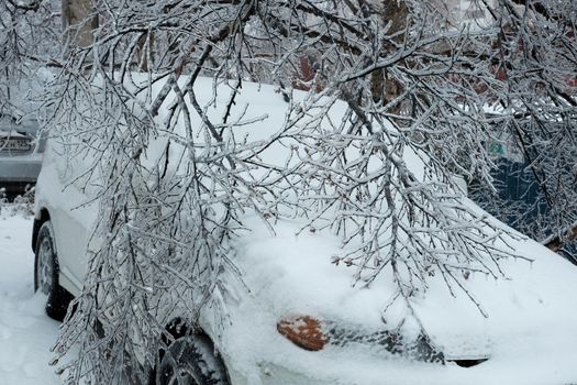 A parked car is littered with white snow and branches of tree. Autumn and winter background.