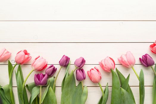 Spring, flowers concept. Pink and purple tulips over white wooden table background