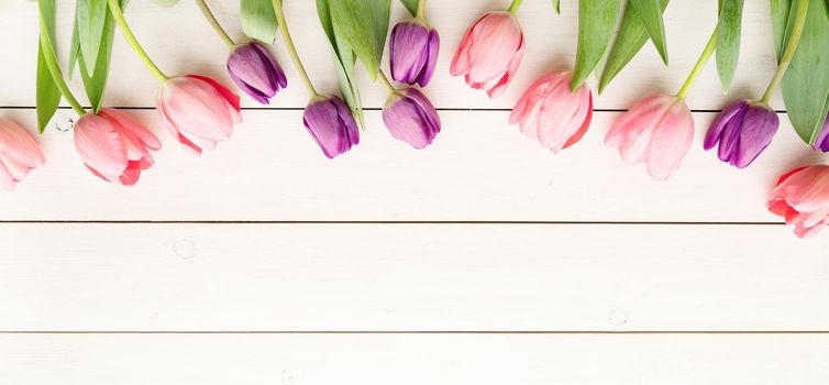 Spring, flowers concept. Pink and purple tulips over white wooden table background, banner