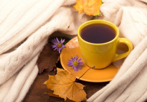 cup of hot tea and autumn leaves, on brown background