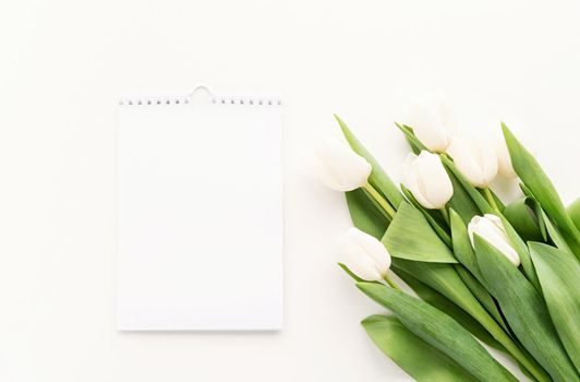 Top view of blank calendar for mock up design and white tulips. Spring concept.