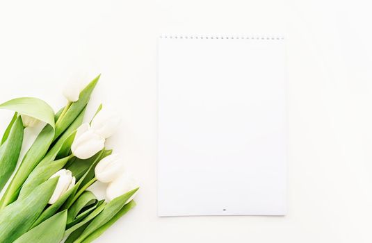 Top view of blank calendar for mock up design and white tulips. Spring concept.